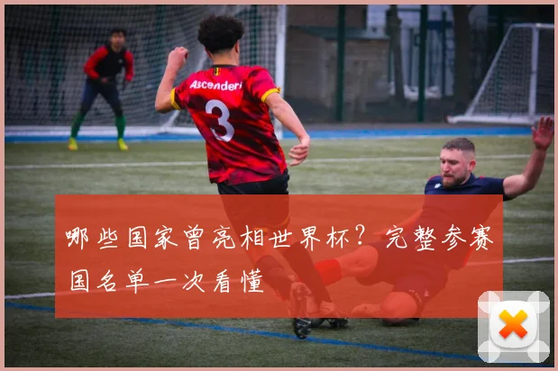 哪些国家曾亮相世界杯？完整参赛国名单一次看懂