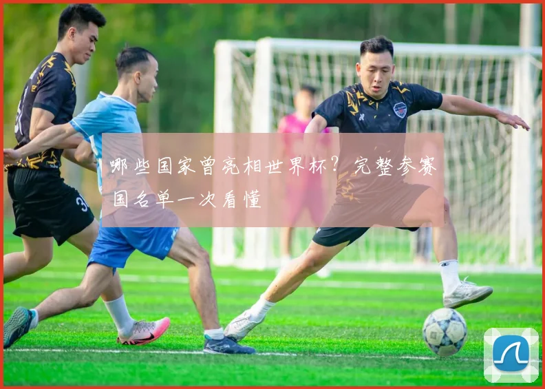 哪些国家曾亮相世界杯？完整参赛国名单一次看懂