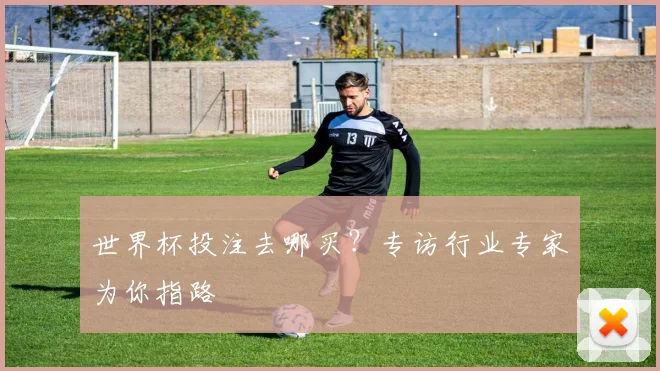 世界杯投注去哪买？专访行业专家为你指路