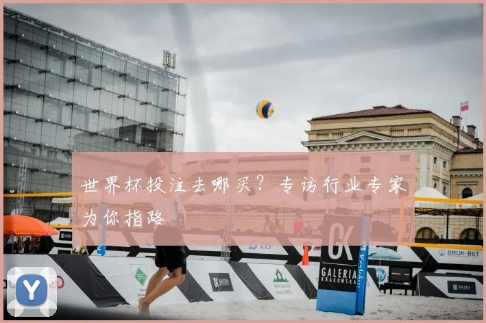 世界杯投注去哪买？专访行业专家为你指路