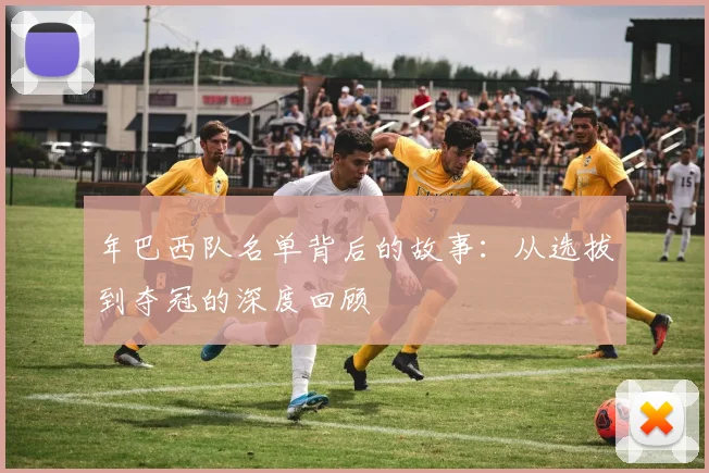 年巴西队名单背后的故事：从选拔到夺冠的深度回顾