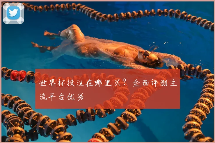 世界杯投注在哪里买？全面评测主流平台优劣
