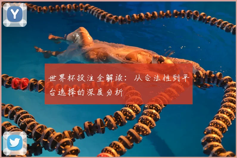 世界杯投注全解读：从合法性到平台选择的深度分析